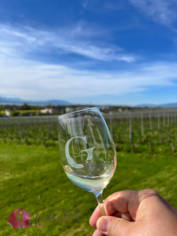 blick in die rebberge bei domaine de famolens