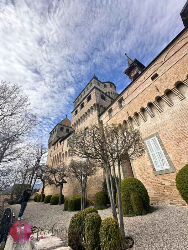 im garten vom schloss