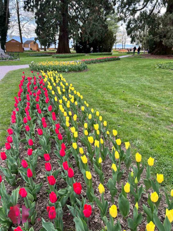 tulpenfest in morges